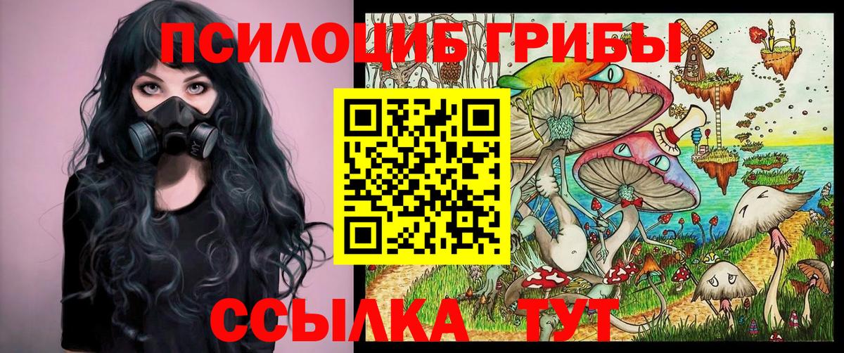 Псилоцибиновые грибы Psilocybe  Псилоцибиновые грибы прущие грибы  Гуково  магазин продажи   Вход с VPN 
