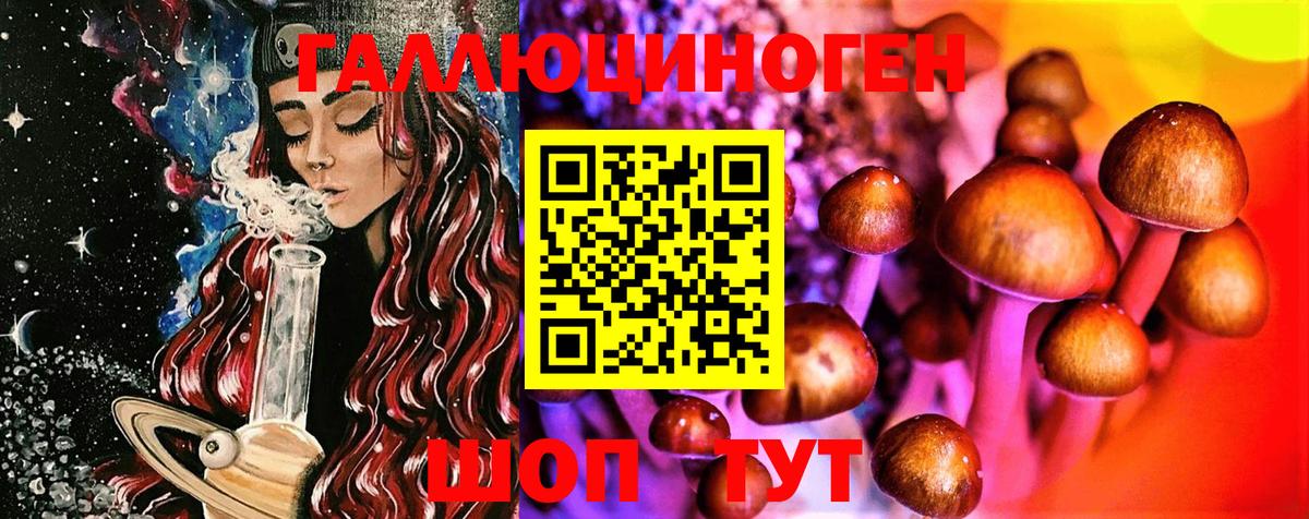 Галлюциногенные грибы Cubensis Гуково